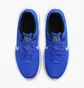 Кроссовки мужские Nike Flex Experience Run 11 Blue DD9284-402