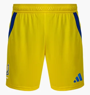 Шорты мужские Adidas Ukraine 24 Yellow IK2248