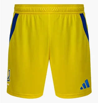 Шорти чоловічі Adidas Ukraine 24 Yellow IK2248