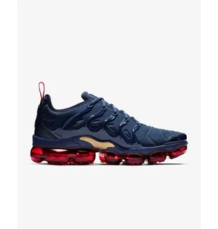 Кроссовки мужские Nike Air Vapormax Plus Blue 924453-405