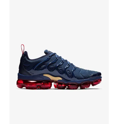 Кроссовки мужские Nike Air Vapormax Plus Blue 924453-405