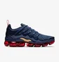 Кроссовки мужские Nike Air Vapormax Plus Blue 924453-405