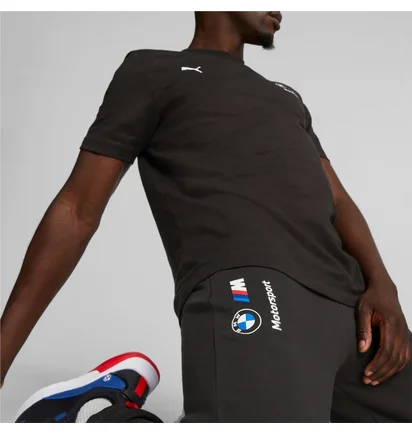 Штаны мужские Puma Bmw M Rsport Ess Black 621302-01
