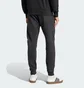 Штаны мужские Adidas Bl Ft Pt Black IN6163