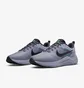 Кроссовки мужские Nike Downshifter 12 Grey DD9293-500
