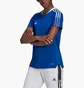 Футболка женская Adidas Tiro21 Tr Jsy Blue Gm7583