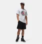 Футболка мужская Air Jordan M J Jumphbr Ss Crew White FZ1944-100