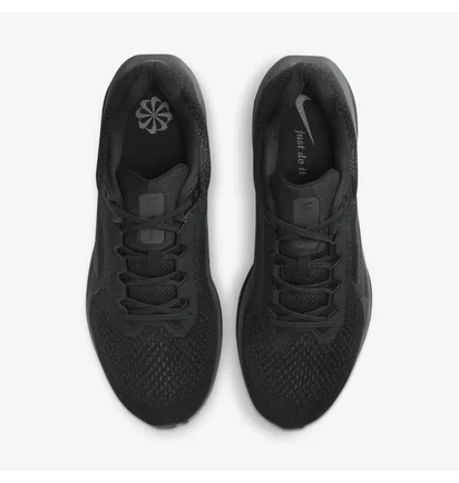 Кросівки чоловічі Nike Air Winflo 11 Black FJ9509-002