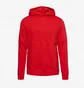 Худи мужское Nike Strike 22 Pullover Hoody Red DH9380-657