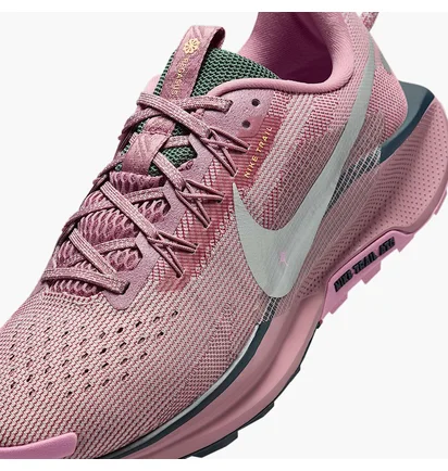 Кросівки жіночі Nike Pegasus Trail 5 Gtx Pink/Violet DV3865-500