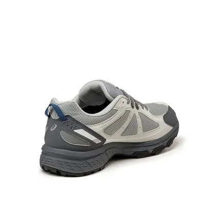 Кроссовки мужские Asics Gel-Venture 6 Gtx Grey 1203A560-020