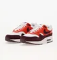 Кросівки чоловічі Nike Air Max 1 Multi FN6952-102