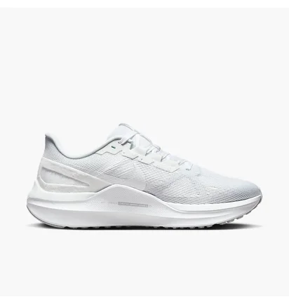 Кросівки чоловічі Nike Running Structure 25 White DJ7883-105