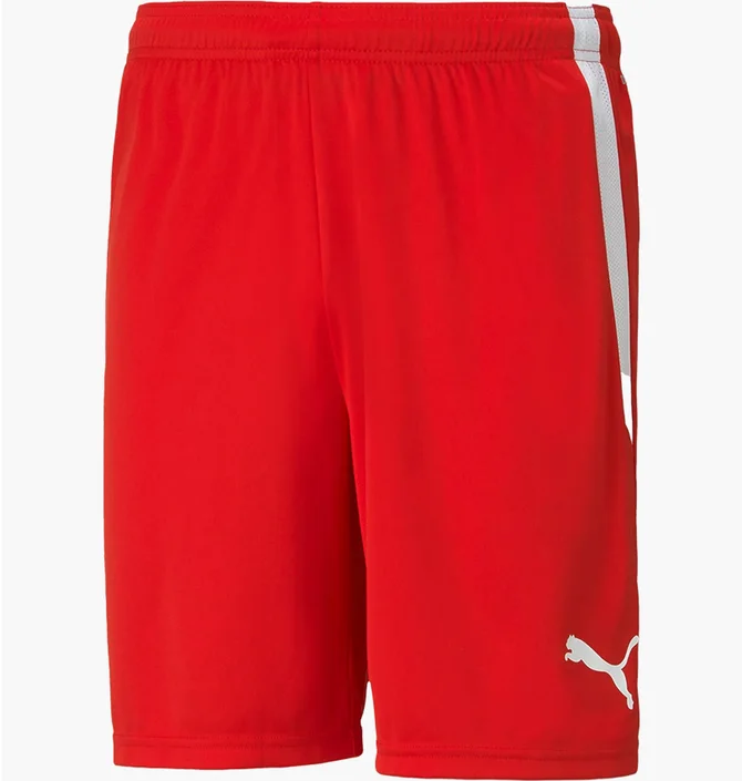 Шорты мужские Puma Teamliga Shorts Red 704924-01