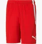 Шорты мужские Puma Teamliga Shorts Red 704924-01