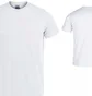 Футболка мужская Joma Desert White 101739.200