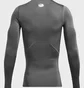 Лонгслив мужской Under Armour Hg Armour Comp Ls Grey 1361524-025
