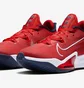 Кросівки унісекс Nike Air Zoom Bb Nxt Olympics CK5707-600