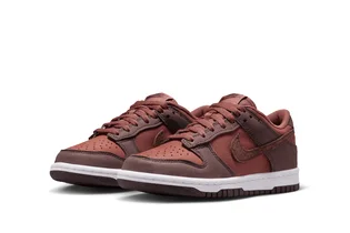 Кросівки дитячі Nike Dunk Low Se (Gs) Brown HQ9293-200