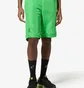 Шорты мужские AUSTRALIAN Hc Smash Short Green HCUSH0015-316