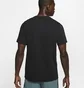 Футболка мужская Nike Dri-Fit Black AR6029-010