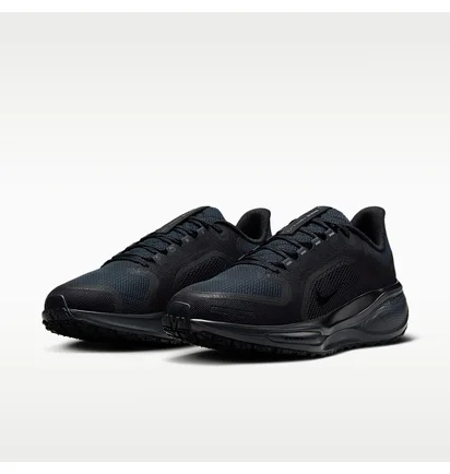 Кросівки чоловічі Nike Pegasus 41 Gore-Tex Waterproof Road Running Black FQ1357-001