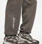 Штаны мужские Nike Acg Polartec® Wolf Tree Pant Brown CV0658-004