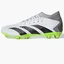 Бутси унісекс Adidas Predator Accuracy.3 Firm Ground Cleats White/Grey GZ0024