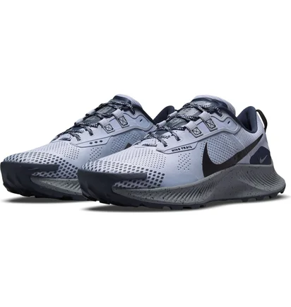 Кросівки чоловічі Nike Pegasus Trail 3 Grey Da8697-003