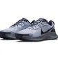 Кросівки чоловічі Nike Pegasus Trail 3 Grey Da8697-003