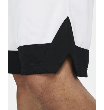 Шорты мужские Nike Dri-Fit Icon White Aj3914-102