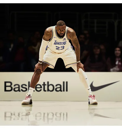 Кроссовки мужские Nike Lebron 22 Crown Jewel Grey/Black FZ1094-101