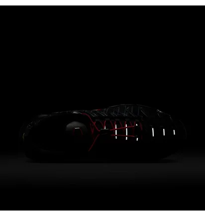 Кросівки чоловічі Nike Air Max Plus Black IH4459-001