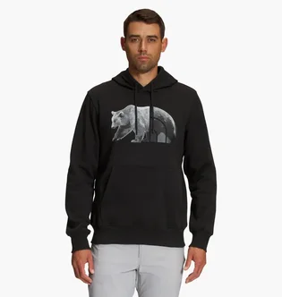 Худи мужское The North Face Bear Long-Sleeve Pullover Hoodie Black Nf0A7Unmjk3