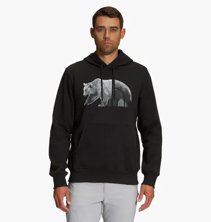 Худи мужское The North Face Bear Long-Sleeve Pullover Hoodie Black Nf0A7Unmjk3