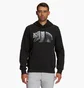 Худи мужское The North Face Bear Long-Sleeve Pullover Hoodie Black Nf0A7Unmjk3