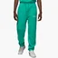 Штаны мужские Air Jordan X Union Green Dv7336-348
