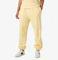 Штаны женские Helly Hansen Allure Pant Yellow 53982-369