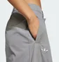 Штаны женские Adidas Neuclassics Nylon Originals Grey JI8536