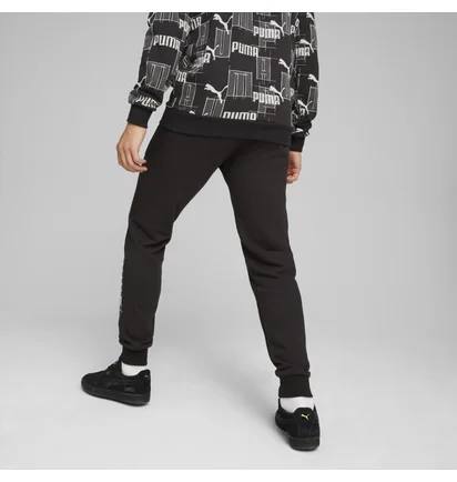 Штаны мужские Puma Ess+ Logo Lab Sweatpants Tr Cl Black 678980-01