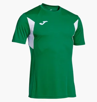 Футболка чоловіча Joma Camiseta Manga Corta Winner Iii Green 103150.452