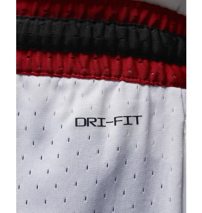 Шорты мужские Air Jordan Dri-Fit Sport White FD5957-100
