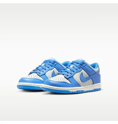 Кросівки дитячі Nike Dunk Low Blue/Grey FB9109-004
