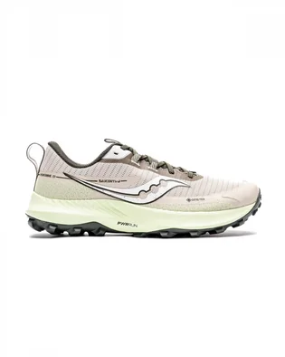 Кроссовки мужские Saucony Peregrine 13 Gtx Grey S20841-30