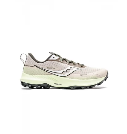 Кроссовки мужские Saucony Peregrine 13 Gtx Grey S20841-30