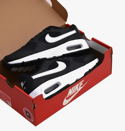 Кроссовки мужские Nike Air Max Sc Black CW4555-002