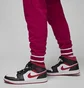 Штаны мужские Air Jordan Flight Mvp Violet FB7011-619