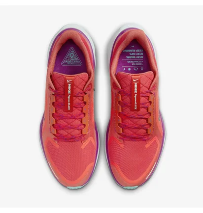 Кроссовки мужские Nike Air Zoom Pegasus 41 Gtx Red HM8872-600