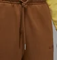 Шорти чоловічі Air Jordan Air Wordmark Brown FJ0700-281