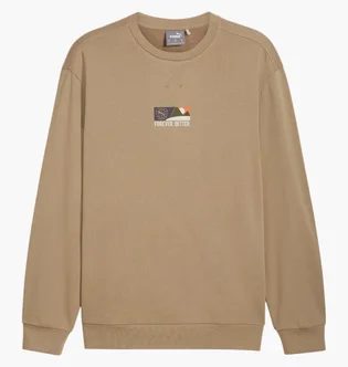 Свитшот мужской Puma Better Sportswear Beige 681758-67